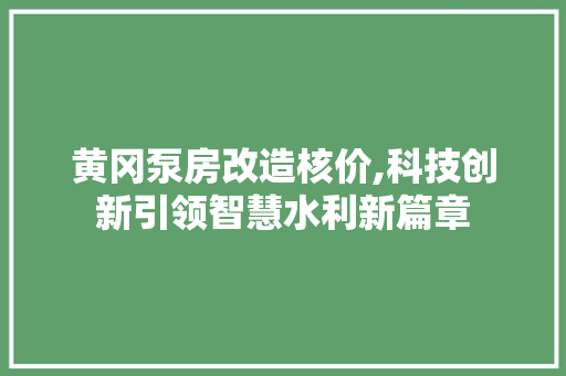 黄冈泵房改造核价,科技创新引领智慧水利新篇章