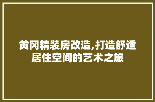 黄冈精装房改造,打造舒适居住空间的艺术之旅 厨房维修