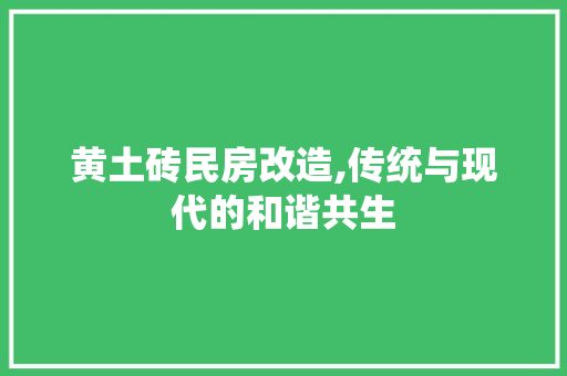黄土砖民房改造,传统与现代的和谐共生 综合便民