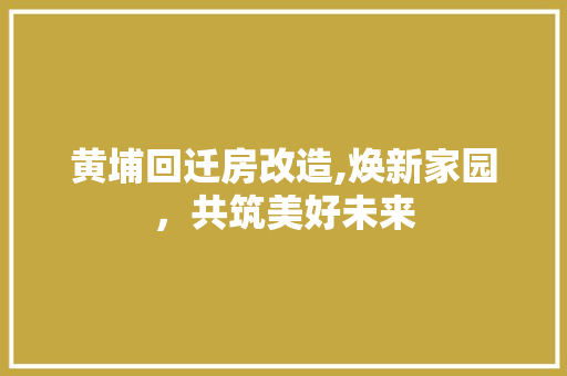 黄埔回迁房改造,焕新家园，共筑美好未来 综合便民