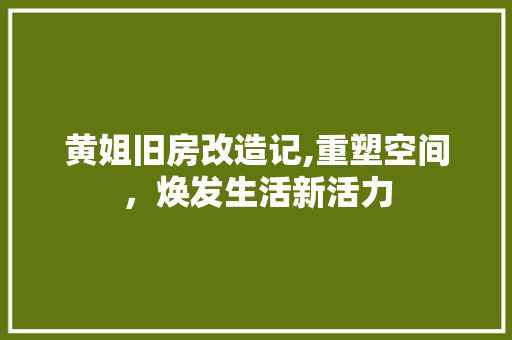 黄姐旧房改造记,重塑空间，焕发生活新活力 汽车维修