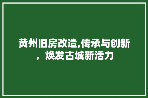 黄州旧房改造,传承与创新，焕发古城新活力 综合便民