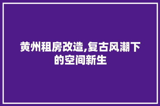 黄州租房改造,复古风潮下的空间新生 厨房维修