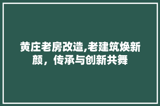 黄庄老房改造,老建筑焕新颜，传承与创新共舞 汽车维修