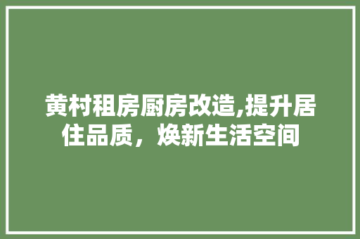 黄村租房厨房改造,提升居住品质，焕新生活空间 厨房维修