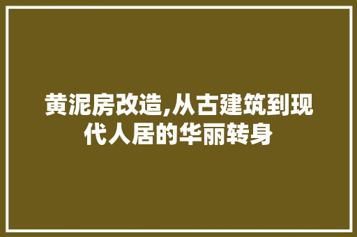 黄泥房改造,从古建筑到现代人居的华丽转身 厨房维修