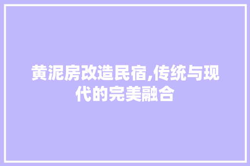 黄泥房改造民宿,传统与现代的完美融合 厨房维修