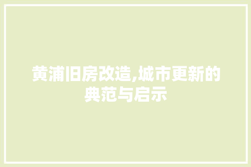 黄浦旧房改造,城市更新的典范与启示 厨房维修