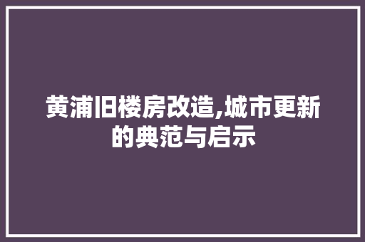 黄浦旧楼房改造,城市更新的典范与启示 厨房维修