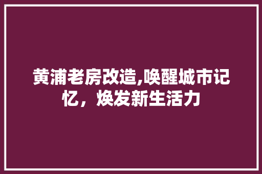 黄浦老房改造,唤醒城市记忆，焕发新生活力 墙体维修
