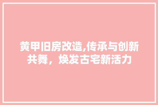 黄甲旧房改造,传承与创新共舞，焕发古宅新活力 综合便民