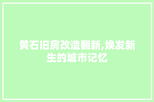 黄石旧房改造翻新,焕发新生的城市记忆 家电维修