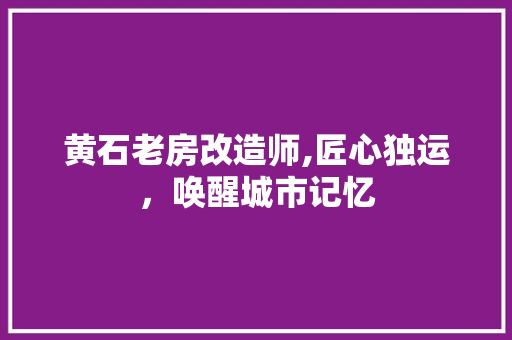 黄石老房改造师,匠心独运，唤醒城市记忆 厨房维修