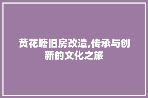 黄花塘旧房改造,传承与创新的文化之旅 家电维修