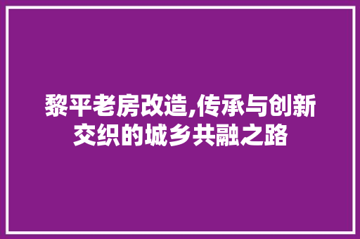 黎平老房改造,传承与创新交织的城乡共融之路 墙体维修
