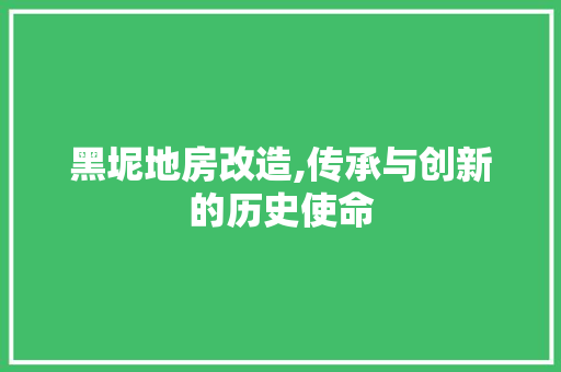 黑坭地房改造,传承与创新的历史使命 厨房维修