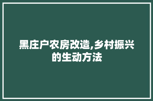 黑庄户农房改造,乡村振兴的生动方法 汽车维修