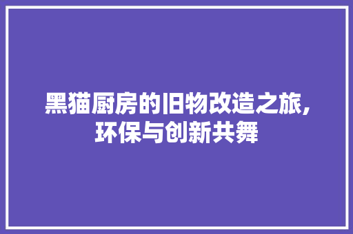 黑猫厨房的旧物改造之旅,环保与创新共舞 厨房维修
