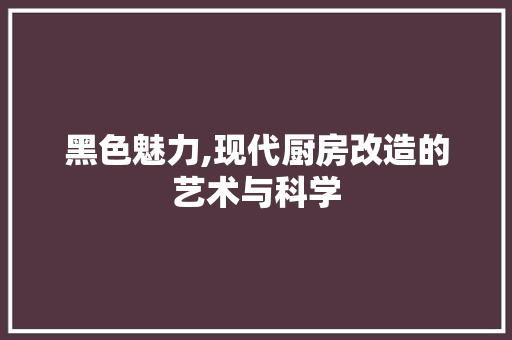 黑色魅力,现代厨房改造的艺术与科学 墙体维修