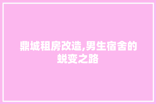 鼎城租房改造,男生宿舍的蜕变之路 厨房维修