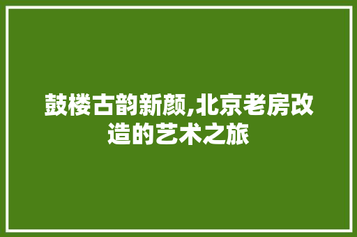 鼓楼古韵新颜,北京老房改造的艺术之旅 汽车维修