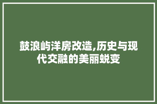鼓浪屿洋房改造,历史与现代交融的美丽蜕变 汽车维修
