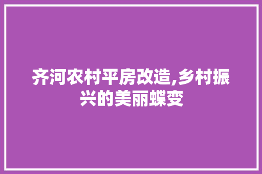 齐河农村平房改造,乡村振兴的美丽蝶变 墙体维修