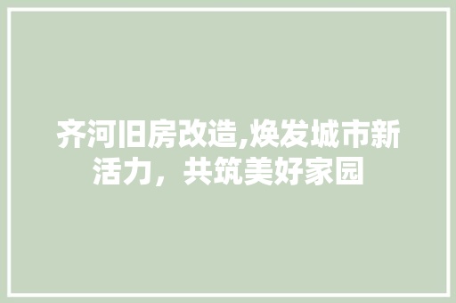 齐河旧房改造,焕发城市新活力，共筑美好家园 综合便民