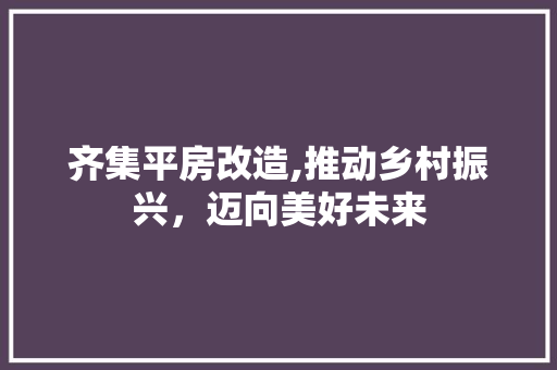 齐集平房改造,推动乡村振兴，迈向美好未来 综合便民