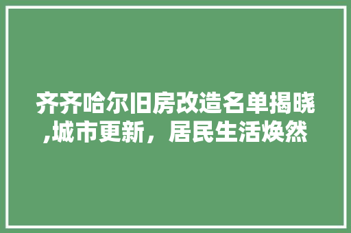 齐齐哈尔旧房改造名单揭晓,城市更新，居民生活焕然一新 墙体维修