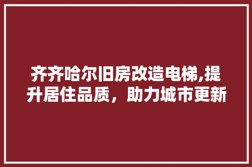 齐齐哈尔旧房改造电梯,提升居住品质，助力城市更新 汽车维修