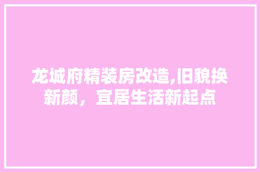龙城府精装房改造,旧貌换新颜，宜居生活新起点 综合便民
