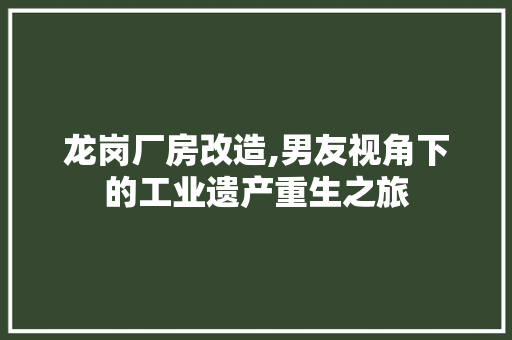 龙岗厂房改造,男友视角下的工业遗产重生之旅 家电维修