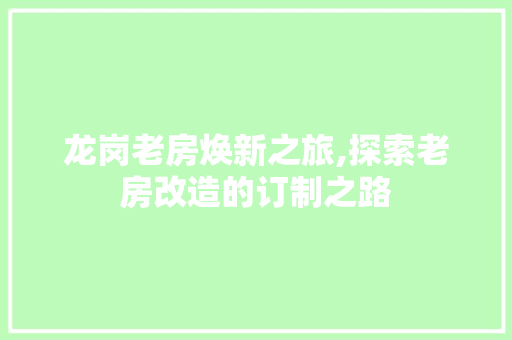 龙岗老房焕新之旅,探索老房改造的订制之路 厨房维修