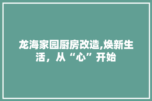 龙海家园厨房改造,焕新生活，从“心”开始 汽车维修
