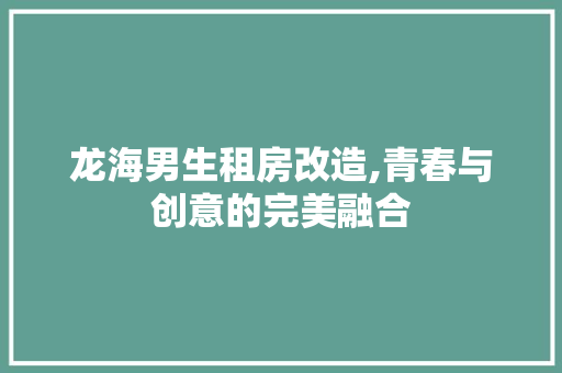 龙海男生租房改造,青春与创意的完美融合 墙体维修
