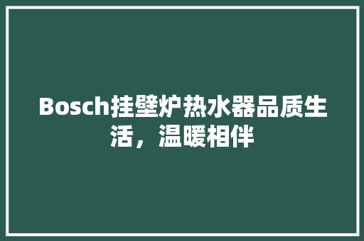 Bosch挂壁炉热水器品质生活，温暖相伴 汽车维修