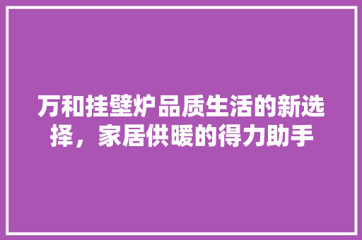 万和挂壁炉品质生活的新选择，家居供暖的得力助手 家电维修