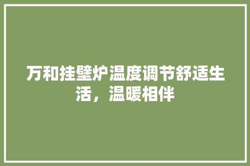 万和挂壁炉温度调节舒适生活，温暖相伴 墙体维修
