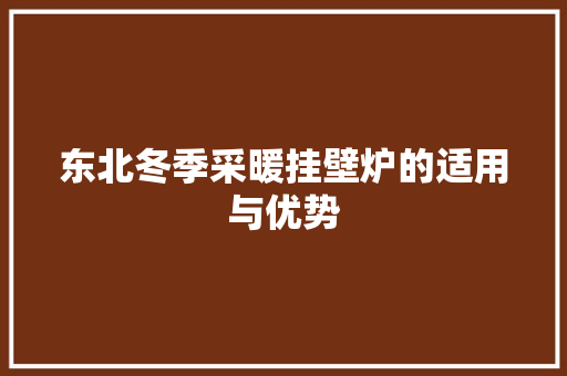 东北冬季采暖挂壁炉的适用与优势 汽车维修