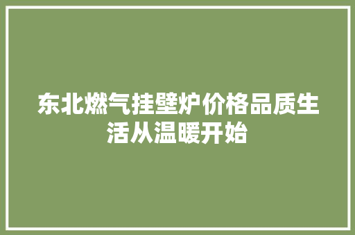 东北燃气挂壁炉价格品质生活从温暖开始 厨房维修