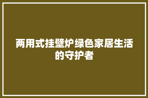 两用式挂壁炉绿色家居生活的守护者 墙体维修