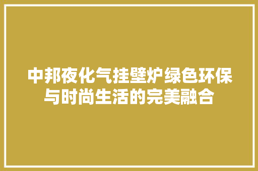中邦夜化气挂壁炉绿色环保与时尚生活的完美融合 汽车维修