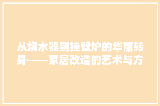从烧水器到挂壁炉的华丽转身——家居改造的艺术与方法 厨房维修