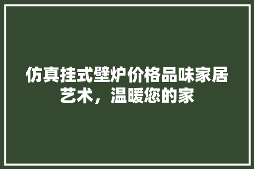 仿真挂式壁炉价格品味家居艺术，温暖您的家 汽车维修