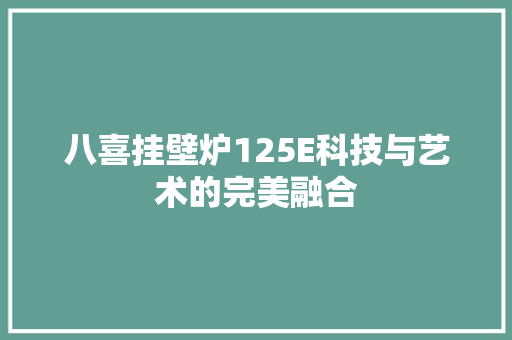 八喜挂壁炉125E科技与艺术的完美融合 综合便民