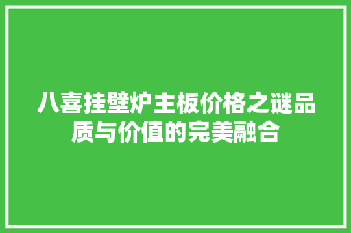八喜挂壁炉主板价格之谜品质与价值的完美融合 汽车维修