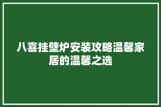 八喜挂壁炉安装攻略温馨家居的温馨之选 汽车维修