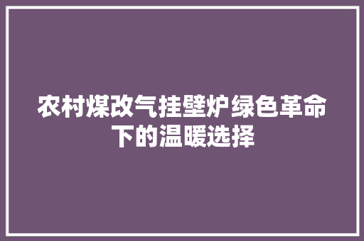 农村煤改气挂壁炉绿色革命下的温暖选择 家电维修