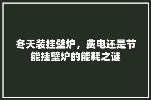 冬天装挂壁炉，费电还是节能挂壁炉的能耗之谜 家电维修